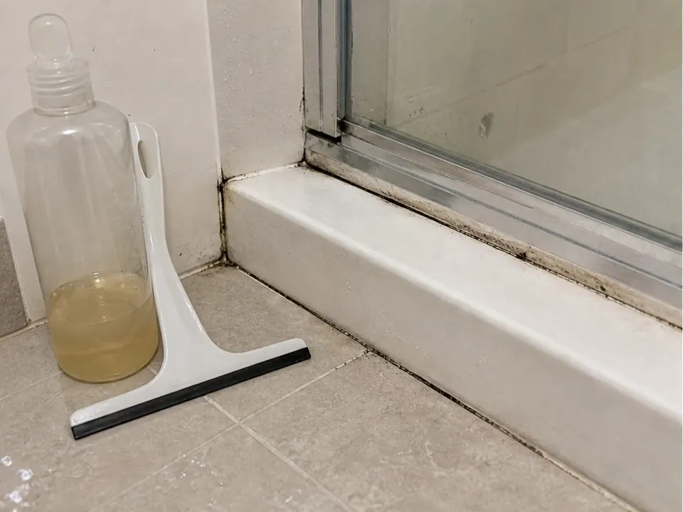 Shower curb cleaned before