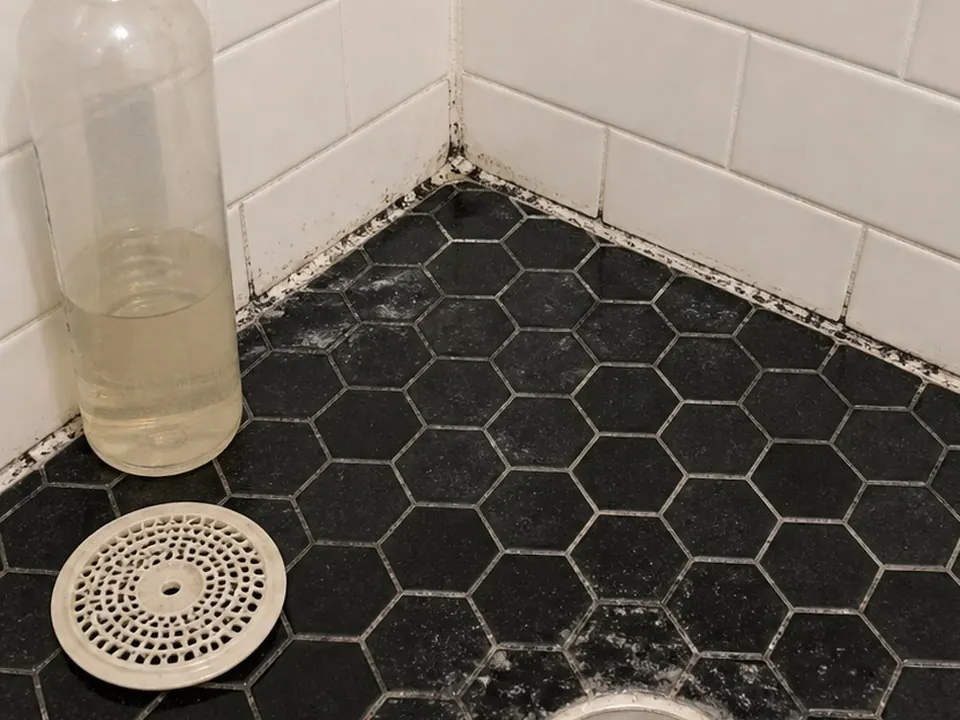 Hex tile shower edge before