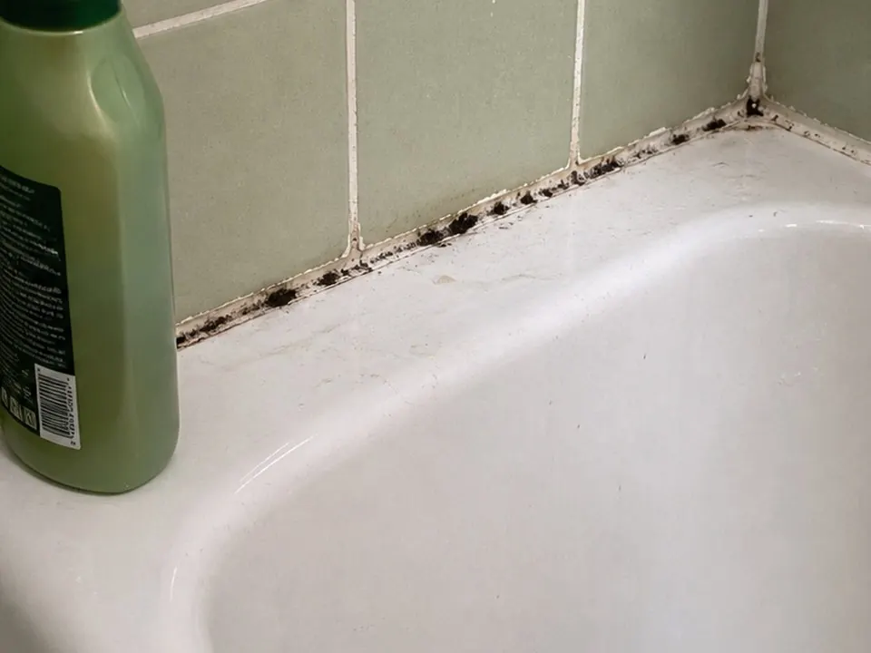 Green tile tub edge before
